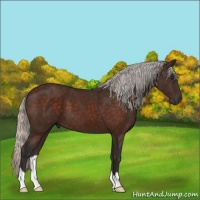 Horse Color:Silver Brown 