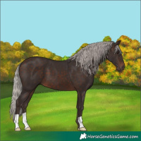Horse Color:Silver Brown 