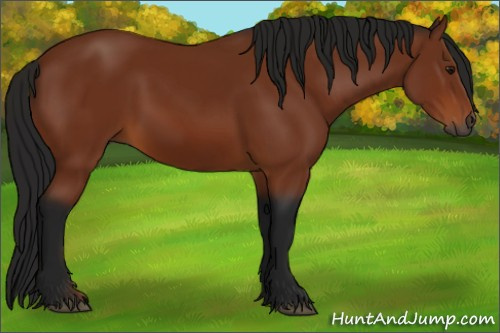 Horse Color:Gray Bay