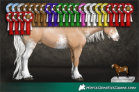 Horse Color:White Spotted Silver Black Pearl Splash Rabicano 