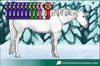 Horse Color:White Spotted Silver Black Sabino Splash 