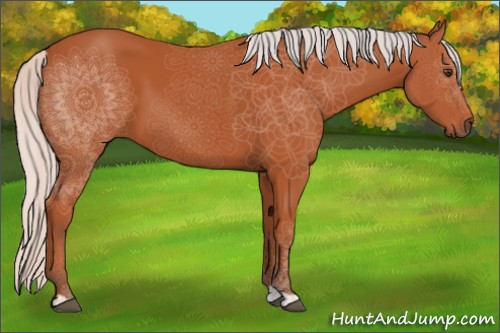 Horse Color:Silver Bay 