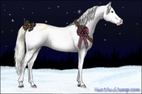 Horse Color:Palomino Dun Splash Snowflake Varnish 
