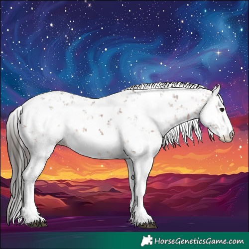 Horse Color:Bay Sabino