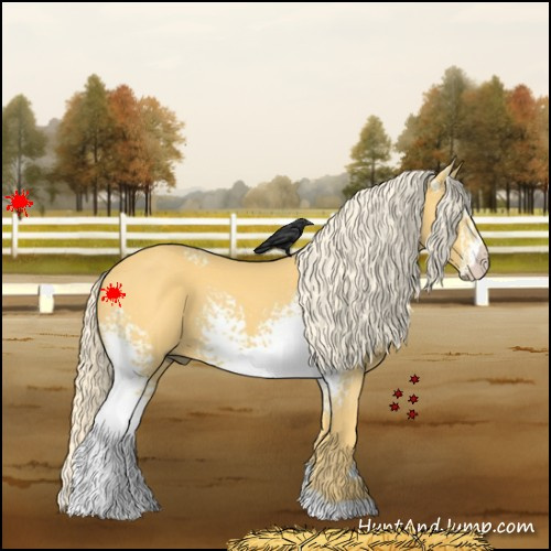 Horse Color:White Spotted Palomino