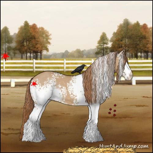 Horse Color:White Spotted Red Dun 