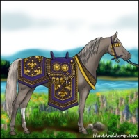 Horse Color:Silver Grullo 
