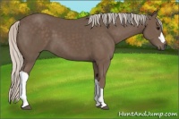 Horse Color:Silver Black 