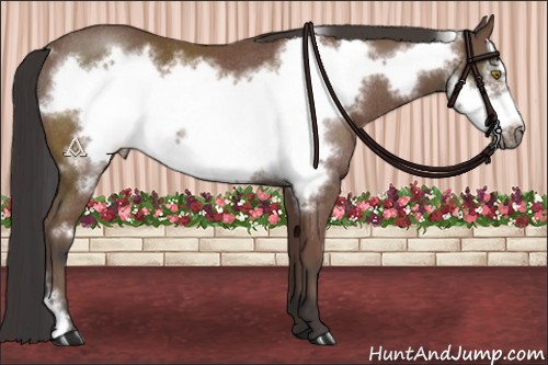 Horse Color:Bay Mushroom Frame Rabicano