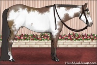 Horse Color:Bay Mushroom Frame Rabicano 