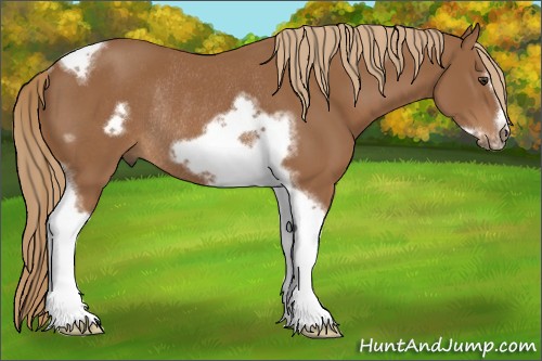 Horse Color:Chestnut Tobiano Frame Rabicano 