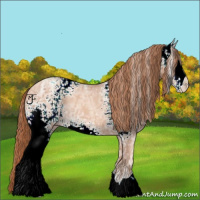 Horse Color:White Spotted Gold Champagne Ice Rabicano