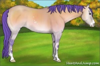 Horse Color:Watercolor Brown Onyx Sabino 