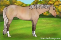 Horse Color:Silver Bay Roan Dun