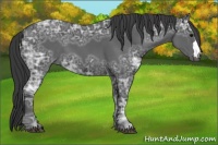 Horse Color:Black Ice