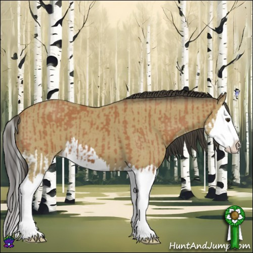 Horse Color:Bay Splash  and Buckskin Splash 