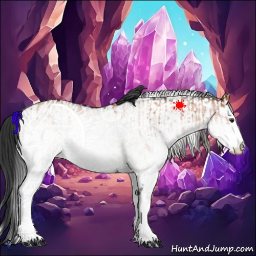 Horse Color:White Spotted Bay Splash  and White Spotted Black 