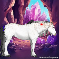 Horse Color:White Spotted Bay Splash  and White Spotted Black 