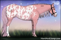 Horse Color:Watercolor Palomino Appaloosa Rabicano 