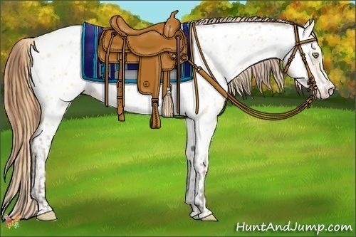 Horse Color:Amber Champagne Dun Sabino Appaloosa  and Amber Cream Champagne Dun Sabino Appaloosa 