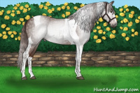 Horse Color:Gray Chestnut Tobiano 
