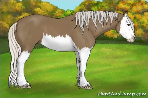 Horse Color:Silver Smoky Black Splash 
