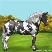 Horse Color:White Spotted Liver Chestnut Mushroom 