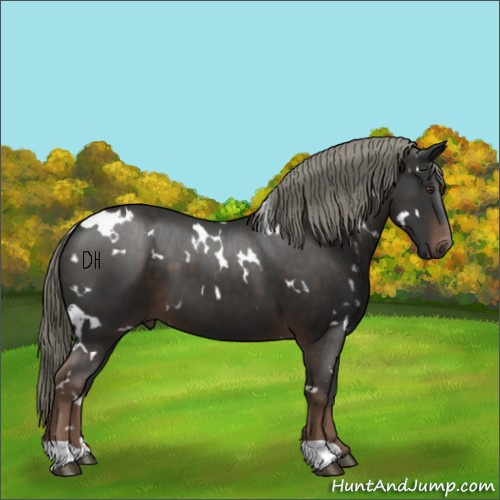 Horse Color:White Spotted Liver Chestnut Mushroom 