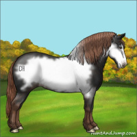 Horse Color:Liver Chestnut Frame 