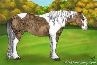 Horse Color:Bay Ice Dun Splash Tobiano Frame 