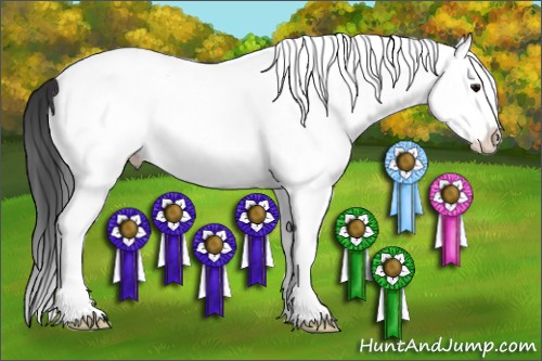 Horse Color:White Spotted Bay Splash