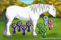 Horse Color:White Spotted Bay Splash 