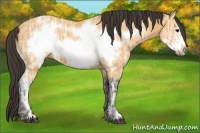 Horse Color:Buckskin Ice Frame