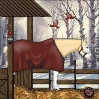 Horse Color:Palomino Roan Splash