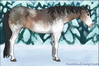 Horse Color:White Spotted Brown Ice Sabino Varnish 