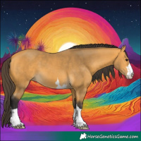 Horse Color:Buckskin 