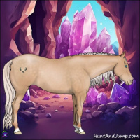 Horse Color:Silver Buckskin Pearl Rabicano 