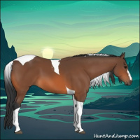 Horse Color:Bay Tobiano 