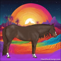 Horse Color:Liver Chestnut Sabino 