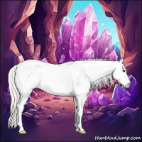 Horse Color:Silver Bay Dun Sabino Appaloosa Rabicano 