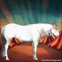 Horse Color:Bay Dun Tobiano Frame Rabicano 