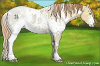 Horse Color:White Spotted Smoky Black Ice Pearl 