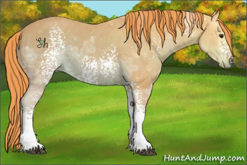 Horse Color:Watercolor White Spotted Liver Chestnut Ice Sabino 