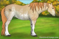 Horse Color:Watercolor White Spotted Liver Chestnut Ice Sabino 