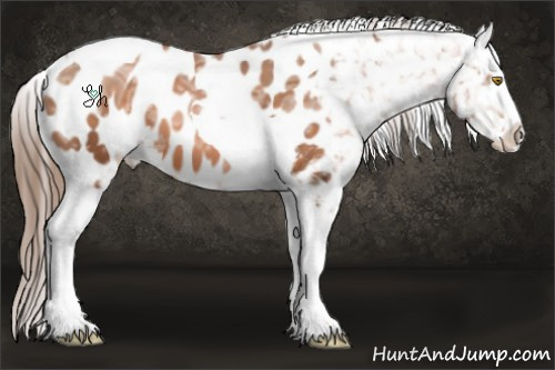 Horse Color:Brown Ice Pearl Sabino Tobiano Near Leopard 