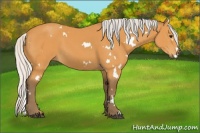 Horse Color:White Spotted Silver Buckskin 