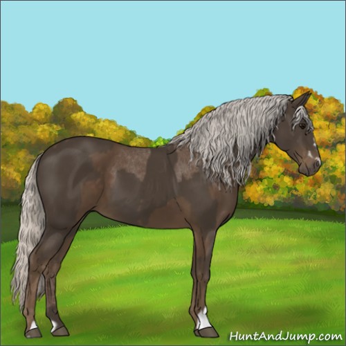 Horse Color:Silver Smoky Black and Silver Smoky Black Sabino