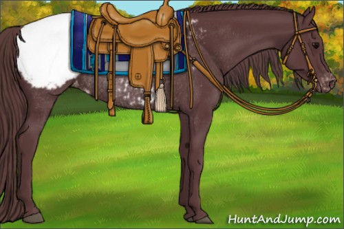 Horse Color:Chocolate Black Appaloosa Rabicano