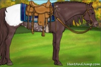 Horse Color:Chocolate Black Appaloosa Rabicano 