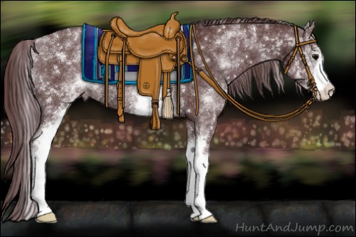 Horse Color:White Spotted Chocolate Black Rabicano